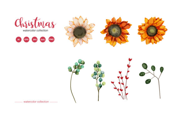 Christmas Flower Watercolor Collection: A Versatile Graphics and Illustrations Set